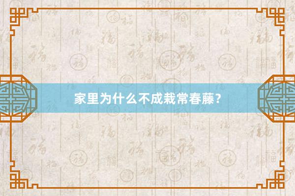 家里为什么不成栽常春藤?