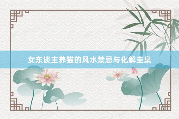 女东谈主养猫的风水禁忌与化解圭臬