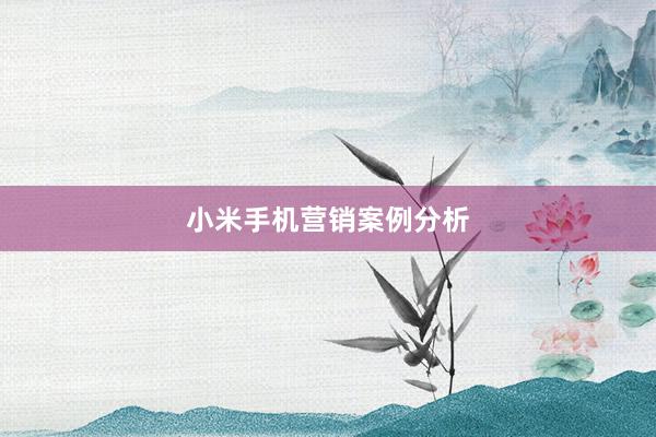 小米手机营销案例分析